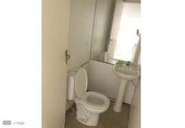 ID 7953