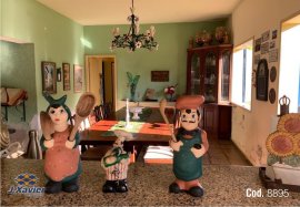 ID 8895
