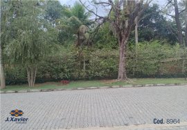 ID 8964
